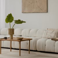 Furniture, Fixtures, and Equipment
